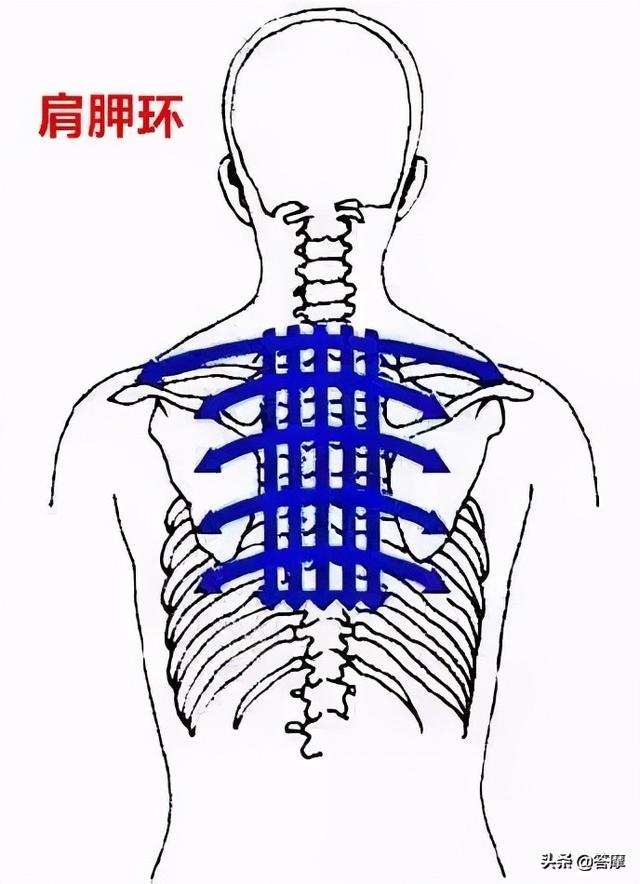 解决陈年老肥哪家强特种刮痧了解一下