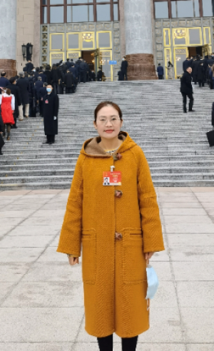 全国人大代表,安徽省滁州市定远县吴圩镇西孔村党总支第一书记王萌 