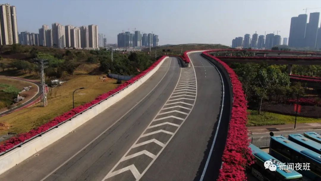 南宁市打造一街一景将新添一处花化景观大道