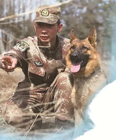 特稿| 与戍边英雄并肩战斗的军犬,吼叫着跃起前冲……79大国策·走