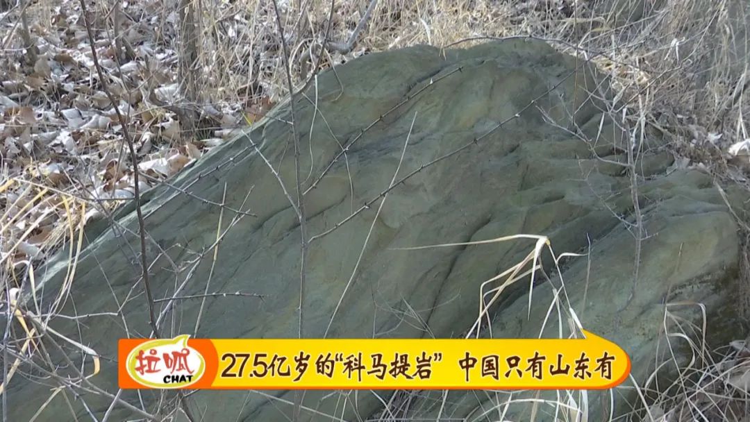 专家介绍,科马提岩,最早发现于南非巴伯顿山地的科马提河流域,并因此