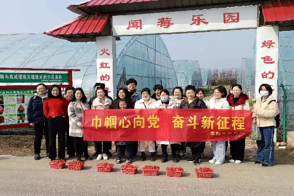 市审计局妇委会开展三八妇女节摘草莓活动