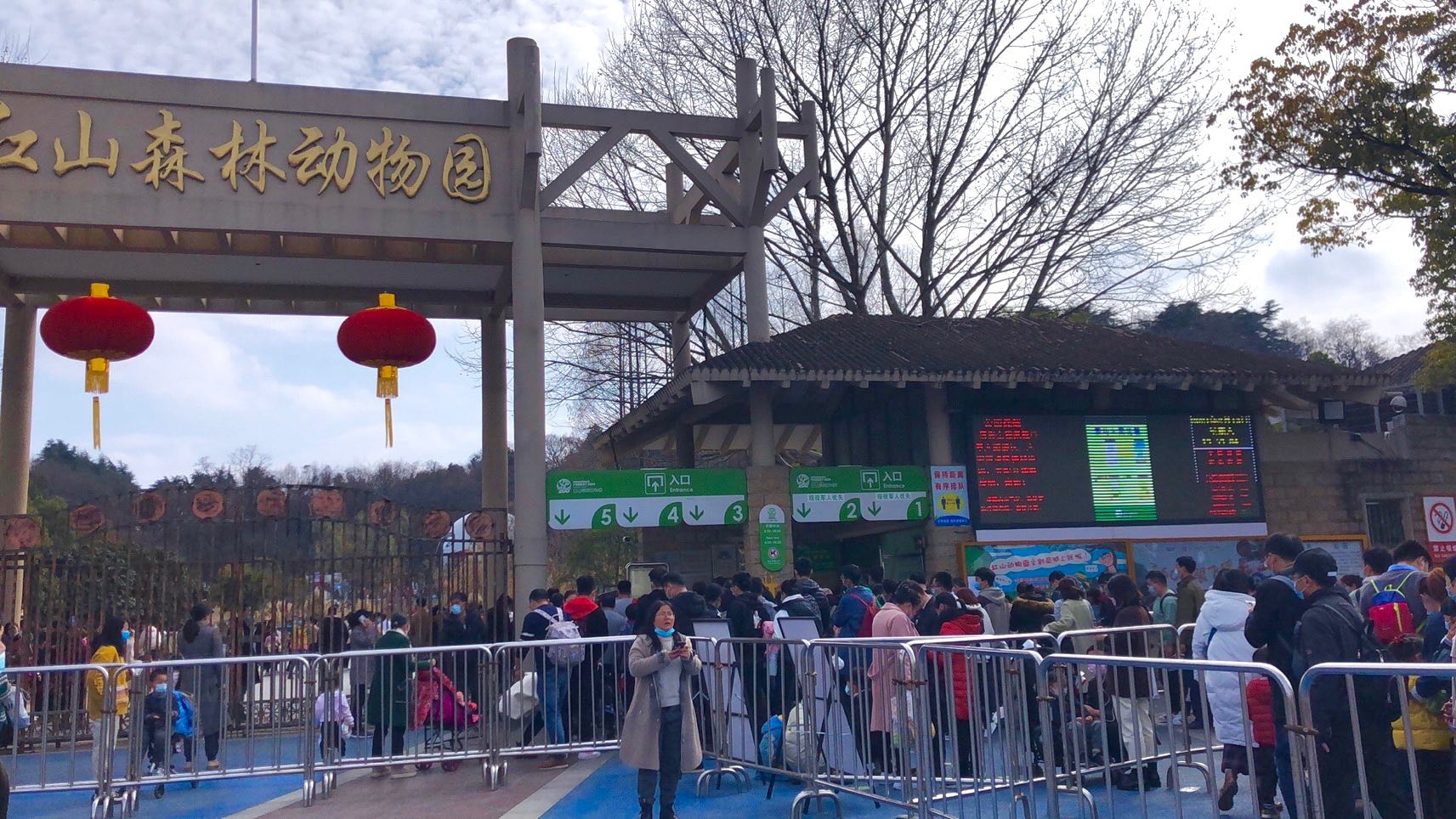 南京红山动物园游乐场图片