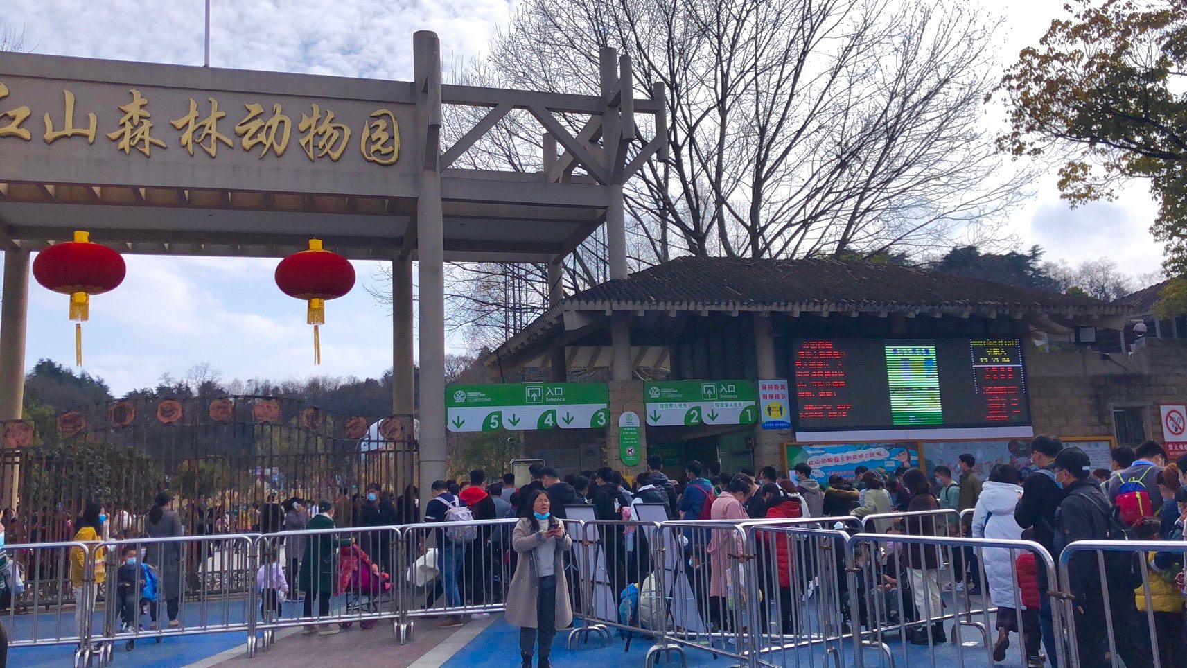 南京红山森林动物园门票(南京红山森林动物园门票多怎么退款)