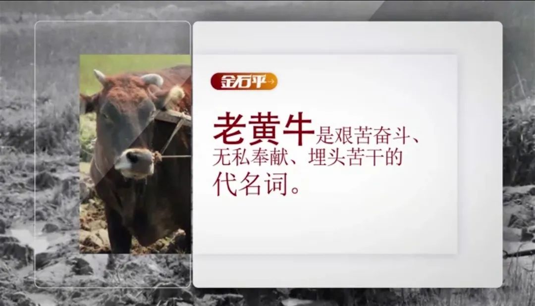 金石平使出牛劲犇向前四埋头实干不鹜虚声