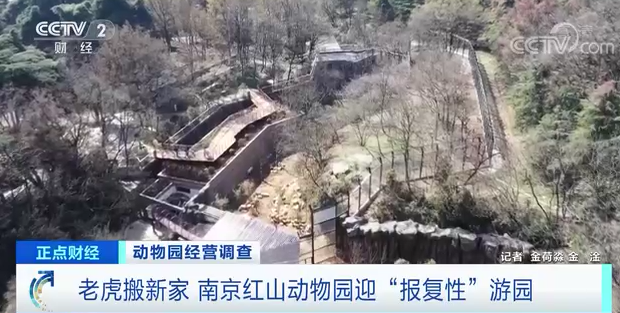 南京红山森林动物园园长盼望的“报复性”游园，来了