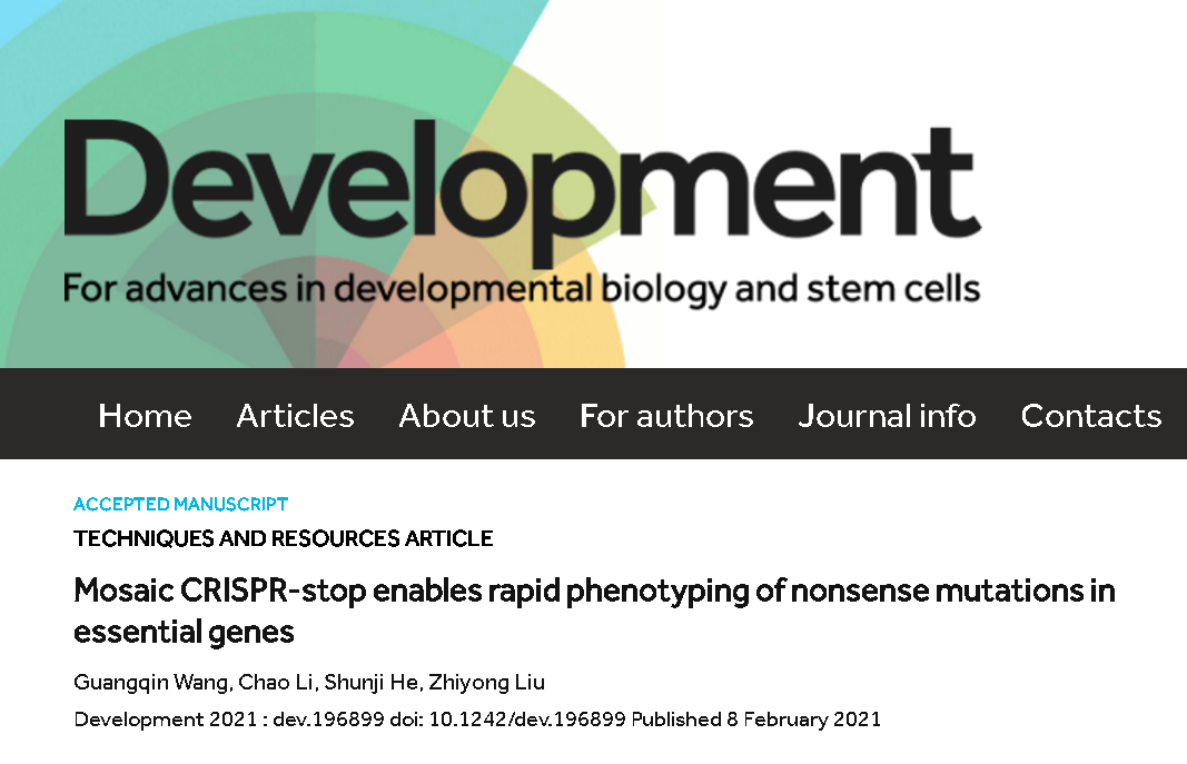 中科院发明基因功能鉴定新方法 致死突变基因也能快速分析了