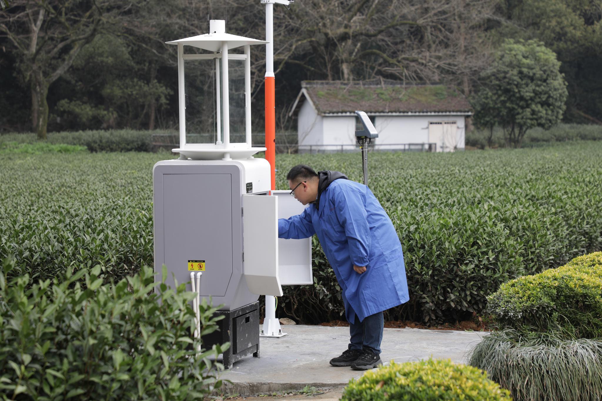 杭州龙井茶园用上智能虫情测报仪