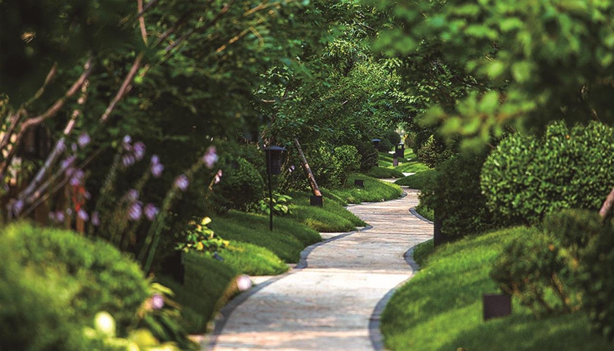 匠制低密花园洋房众心所向的居所