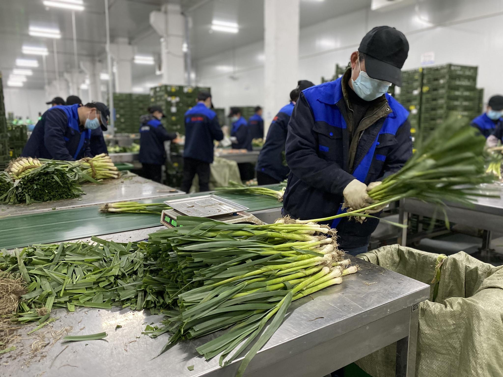 物美超市2021年将扩增200家门店加码社区生鲜业态