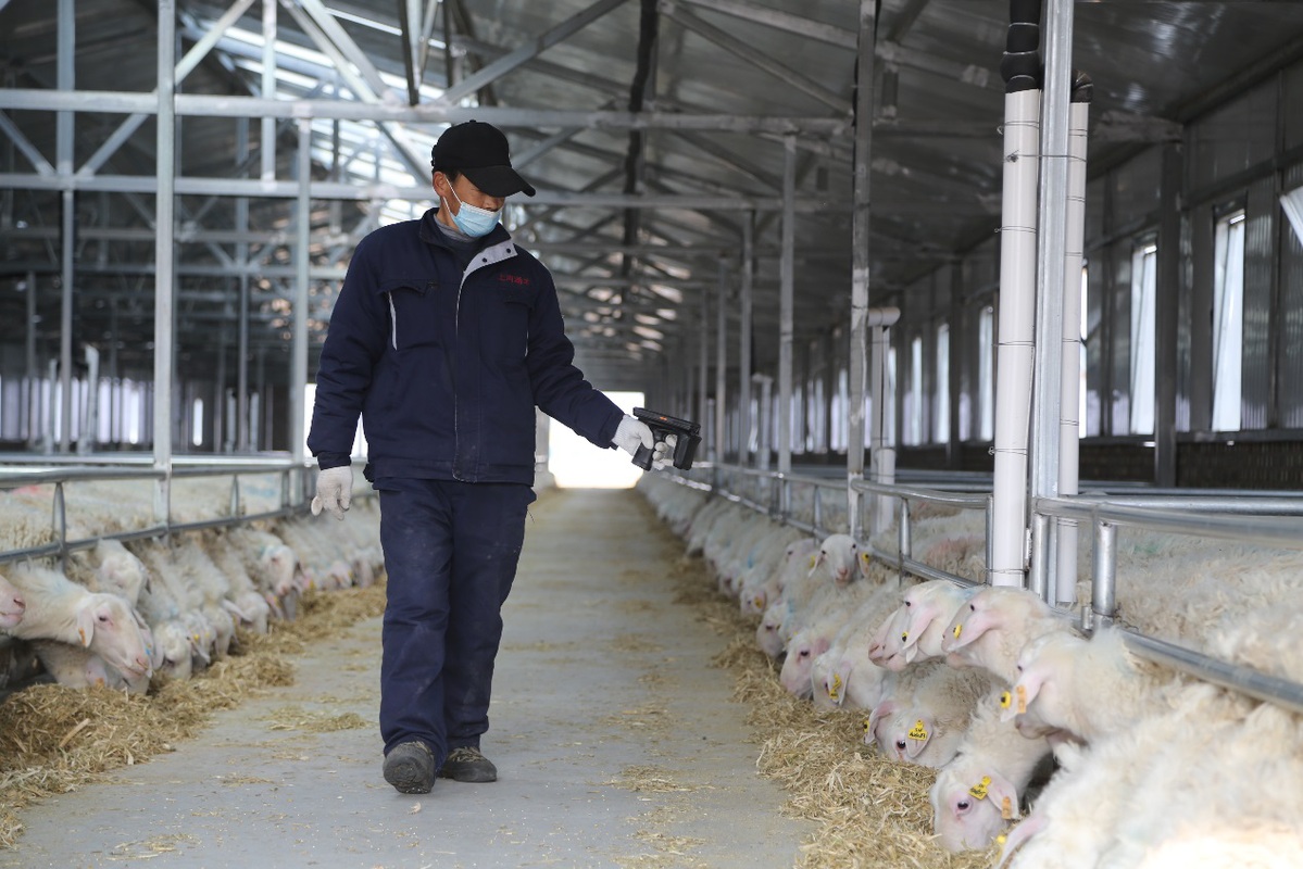 羊饲料排行_广西澳都农牧科技有限责任公司简介(2)