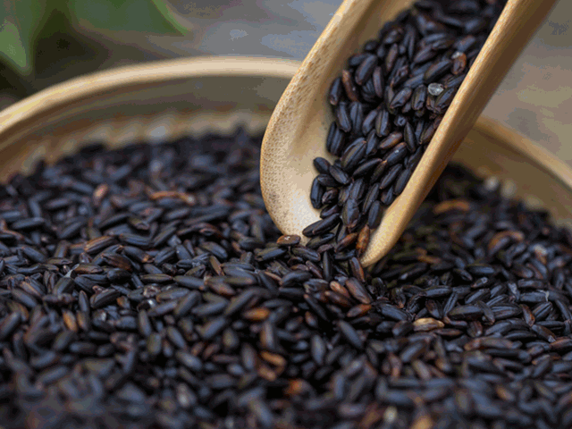 陕西洋县特产黑米做的醇香米糊热水一冲就好真舒坦