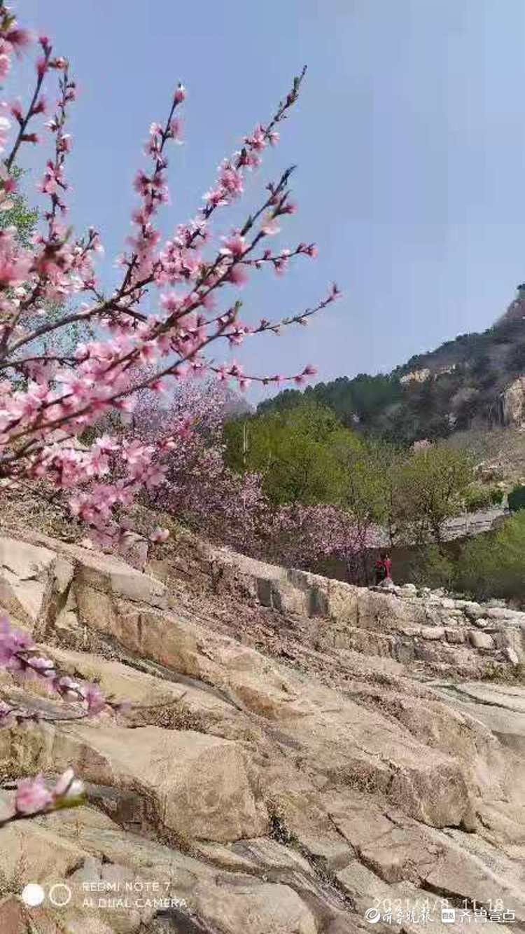 泰安桃花峪景区图片