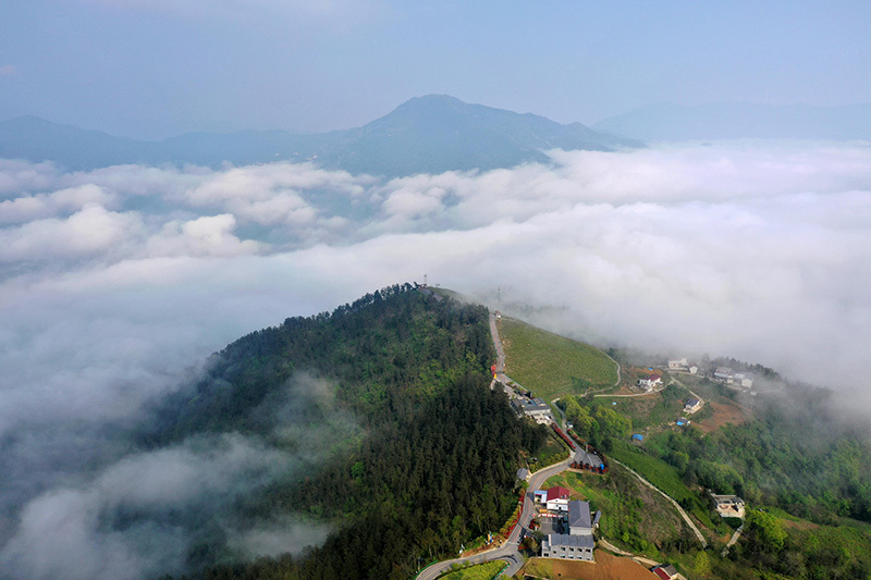 湖北保康云雾绕青山田园入画来