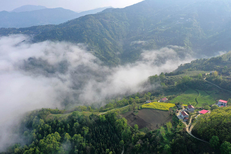 湖北保康云雾绕青山田园入画来