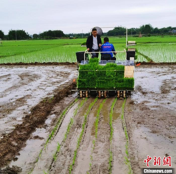 图为潘杰(左一)在进行技术指导 蒙倩如 摄