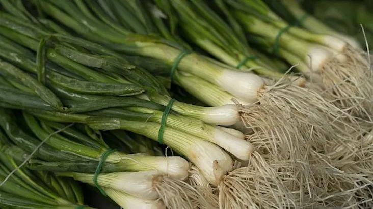 权威解读市民不用谈葱色变