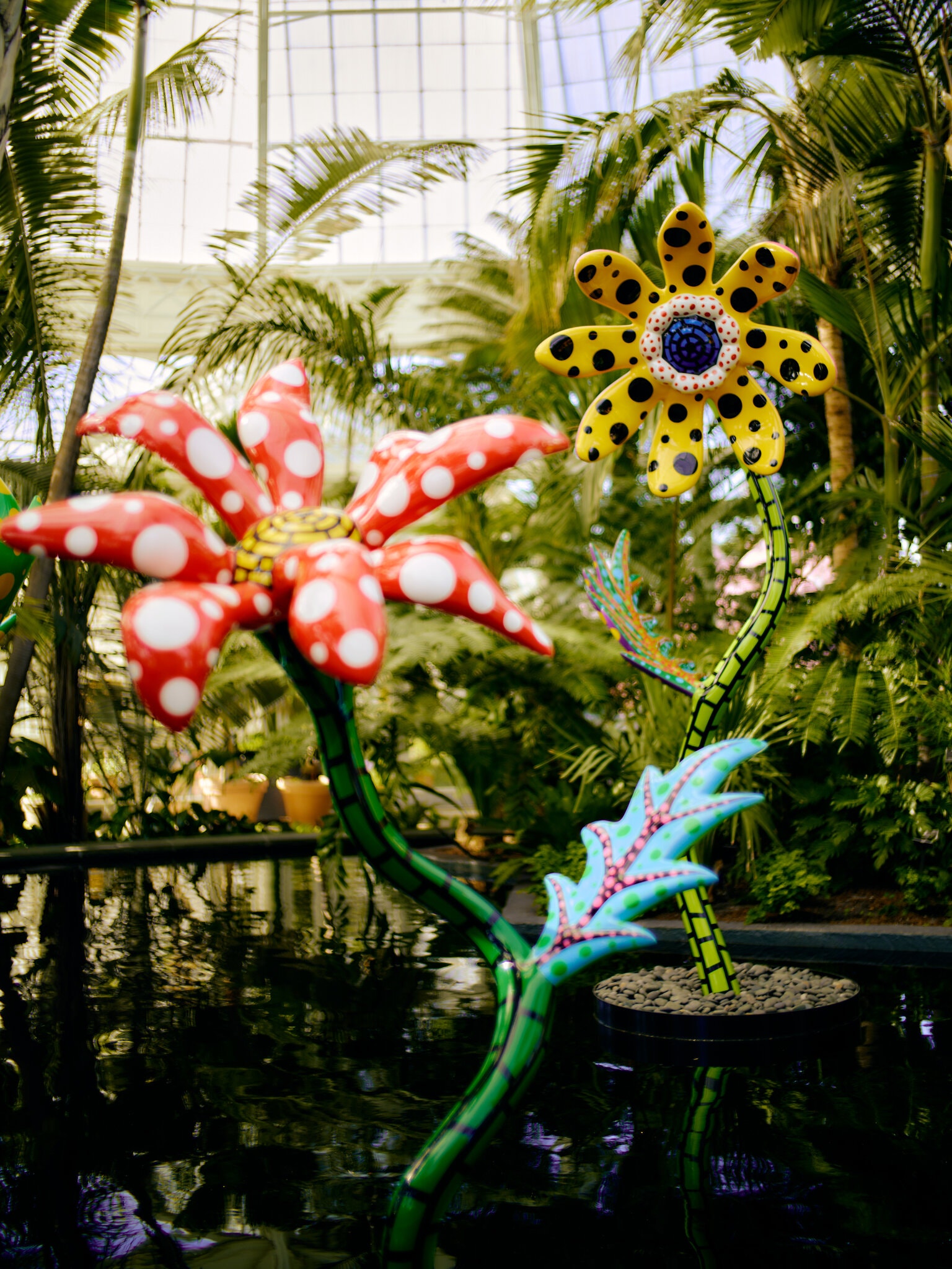 草间弥生"走入"纽约植物园,在花草湿地间展露春意