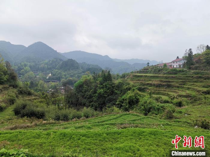 湖南新晃中国健康好乡村庭院有黄金奔向振兴路