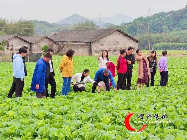 導師團一行深入開山鎮,桂嶺鎮和蓮塘鎮,對參加過廣西華僑學校培訓中心