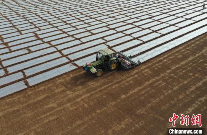 “全程机械智能化种植”新疆阿克苏710万亩棉花播种有序开展