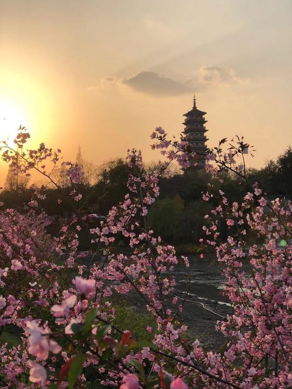 在扬州唐城遗址眺望大明寺栖灵塔落日