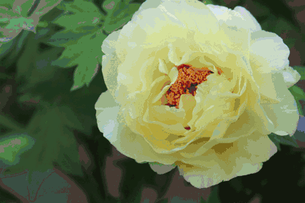 428_285gif 动态图 动图