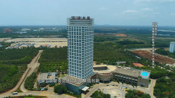 潮涌洋浦以制度集成创新推动全面深化改革开放