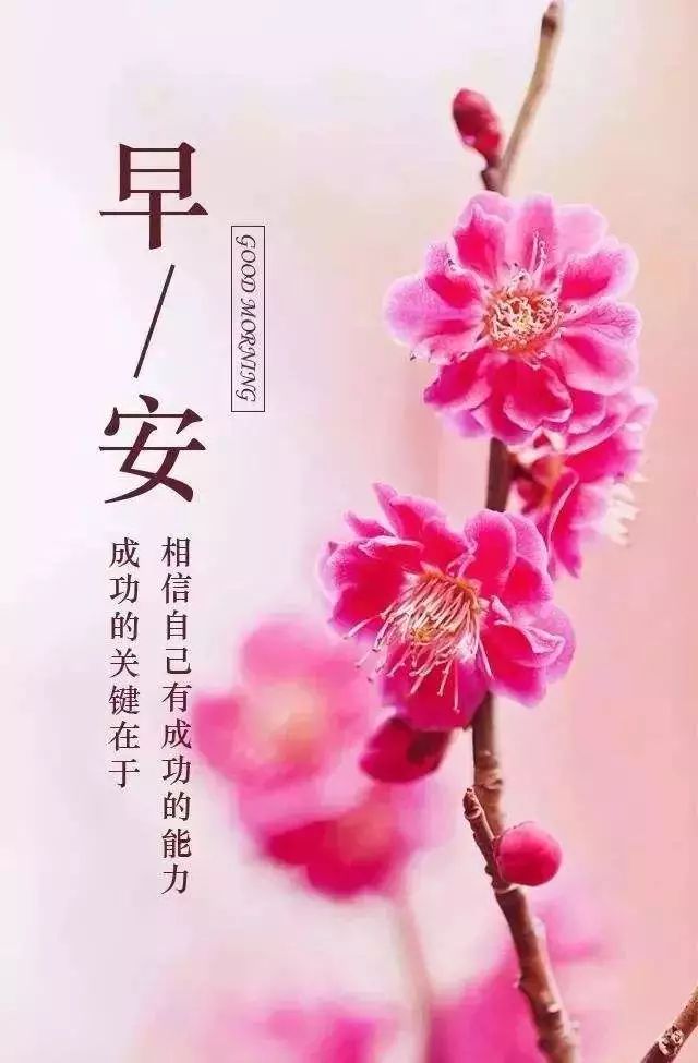 早安心语正能量经典一句话简短语录