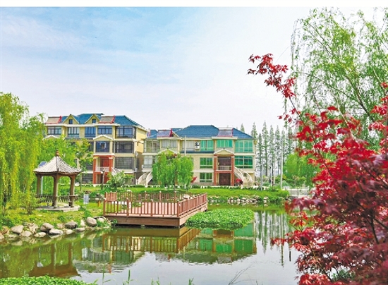 浙报点赞海盐于城依托优势资源开启城镇"美颜"模式