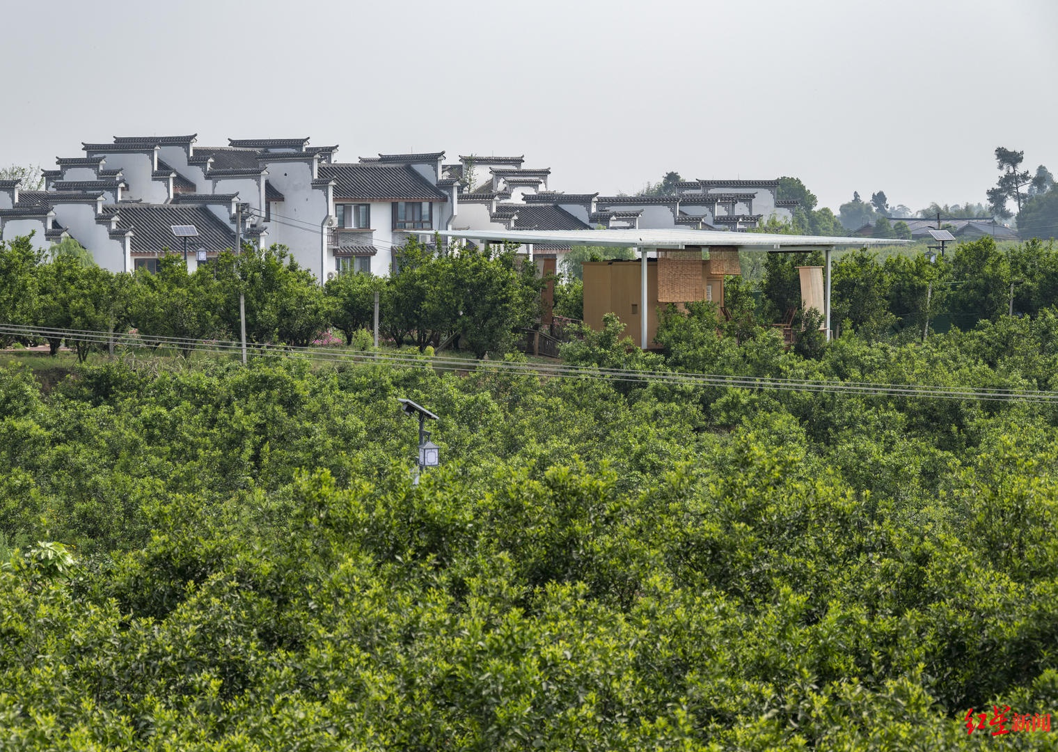 红星深度|铁牛村来了50个"斜杠"村民