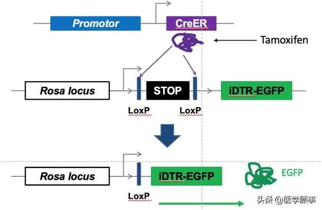 隋唐时期禅宗大师