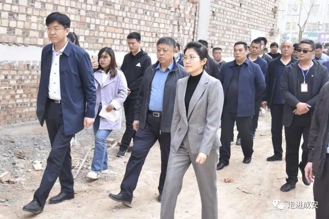 邯郸成安:闫欣欣实地调研小产权房治理工作|邯郸_新浪新闻