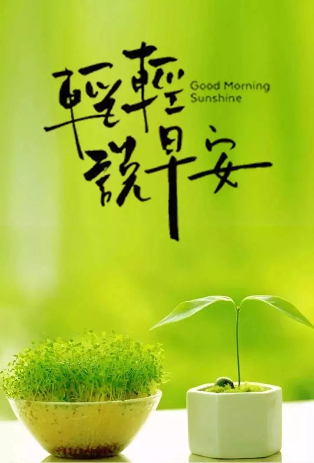 早安心语正能量励志图片朋友圈精选人生感悟句子