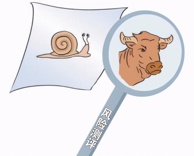 插图/王金辉
