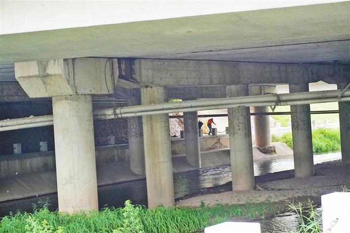 市民反映:桥洞里隐患多 管养单位:有问题马上改