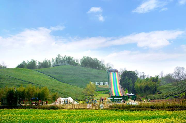 小古城村的职业经理人把茶山竹林溪流做成健康产品