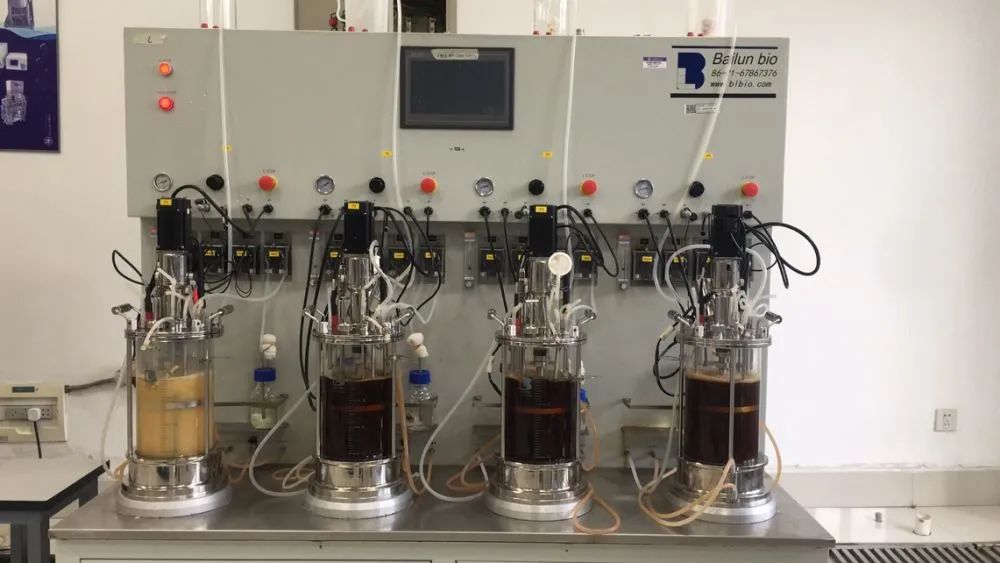 他建设"细胞工厂",让蓝藻变身细胞"打工人" | 电讯人物|生物_新浪新闻