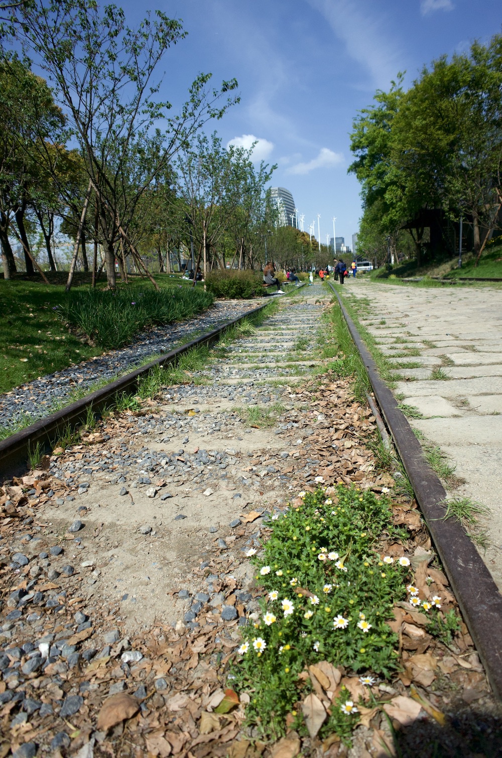 在滨江滑板公园边上，还可以看到过去沪杭甬铁路的一段铁轨。