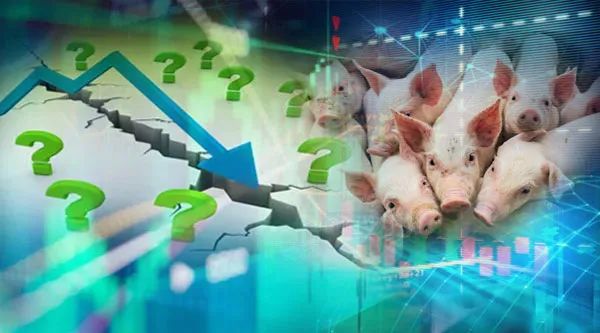 “1.8万亿巨头三天蒸发2600亿 核心资产连番闪崩 季报缘何成噩梦？
