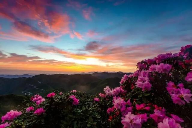 巴渝一家亲光雾畅爽行这个春夏一起相约光雾山吧