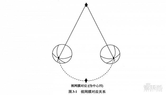 ▲视网膜对应图