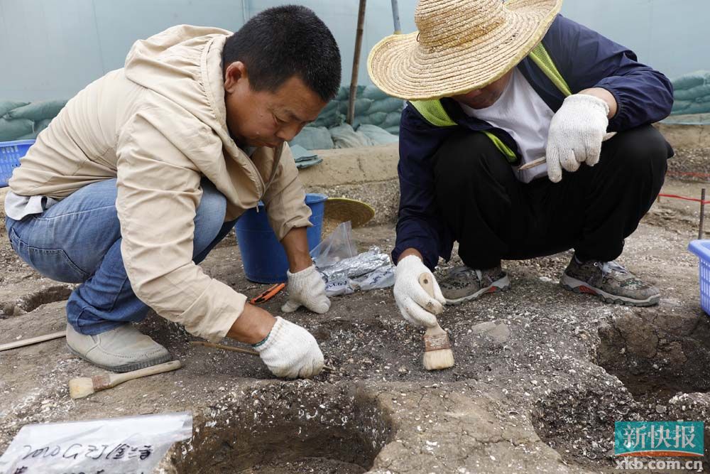 考古重大发现增城金兰寺发现广州最早史前遗址