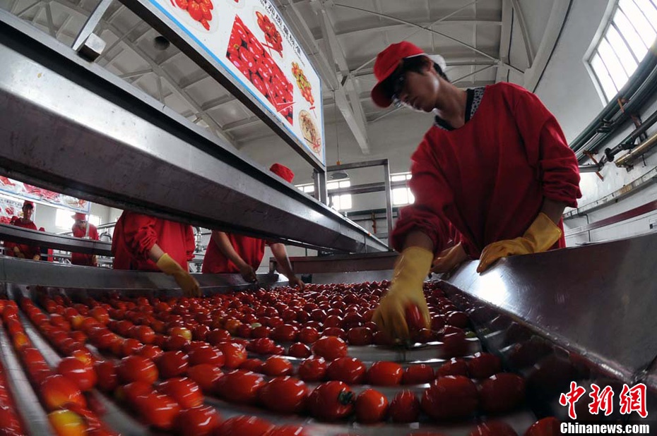 番茄酱品牌排行榜_番茄酱什么品牌好番茄酱十大品牌排行榜