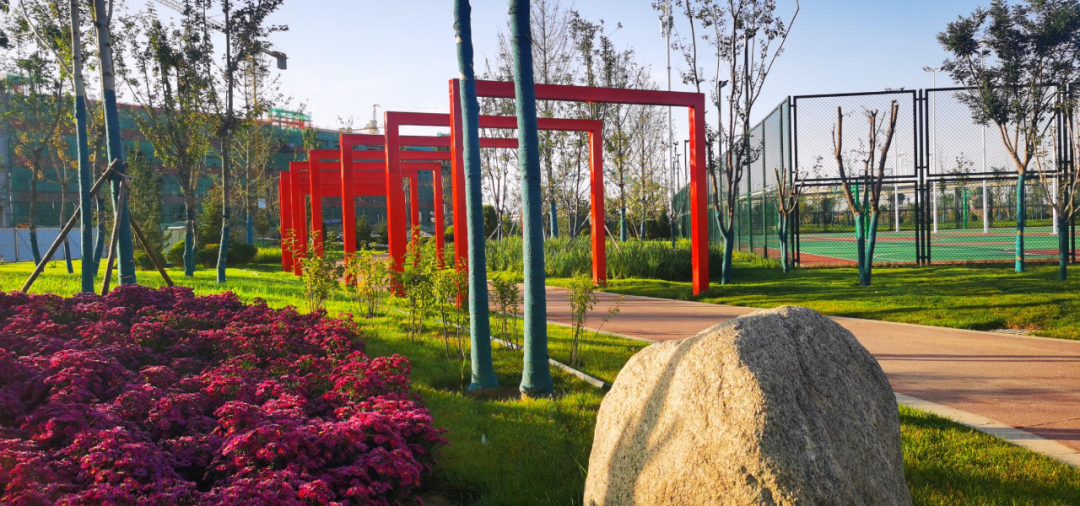 焦点丨银川城南两处大型公园在建中涉及多个足球篮球网球场