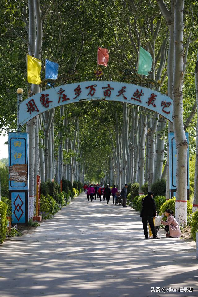 现在,周家庄乡辖区共有10个生产队,6个自然村,人民公社氛围依旧浓厚.