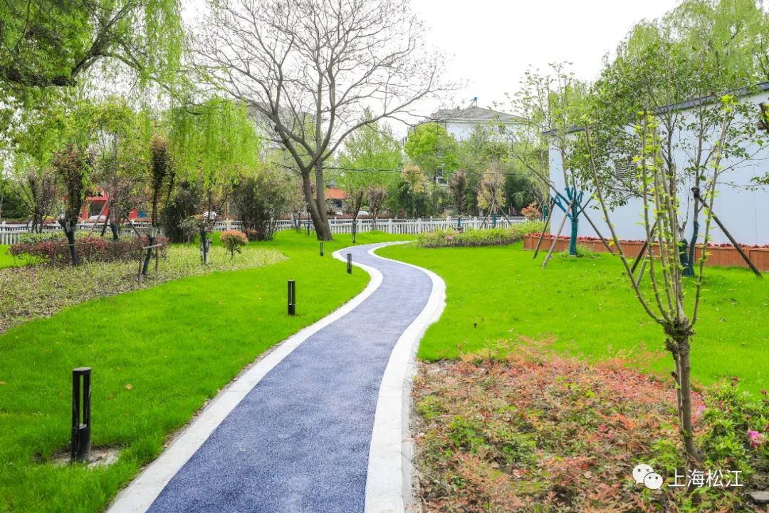 【探索】4000平方米草坪!松江新增一处滨水健身步道