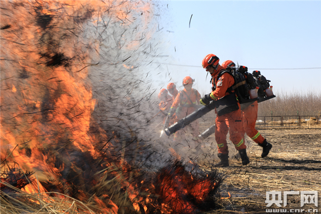 哈尔滨森林消防支队严密组织灭火拉动演练|哈尔滨|消防|森林火灾_新浪