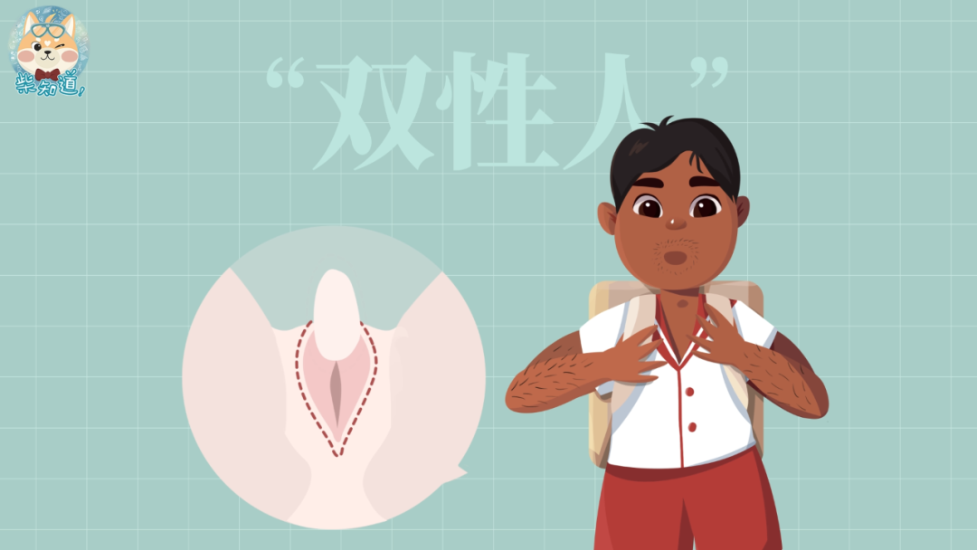 人类有多少种生理性别你的性别是由什么决定的图文