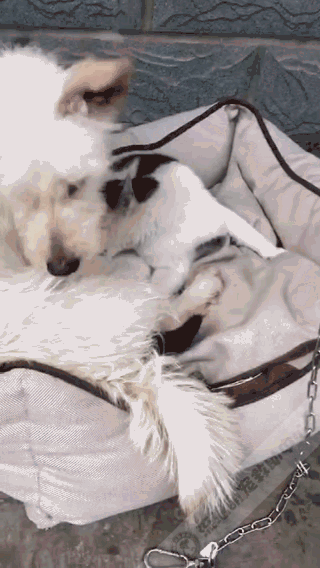 320_568竖版 竖屏gif 动态图 动图